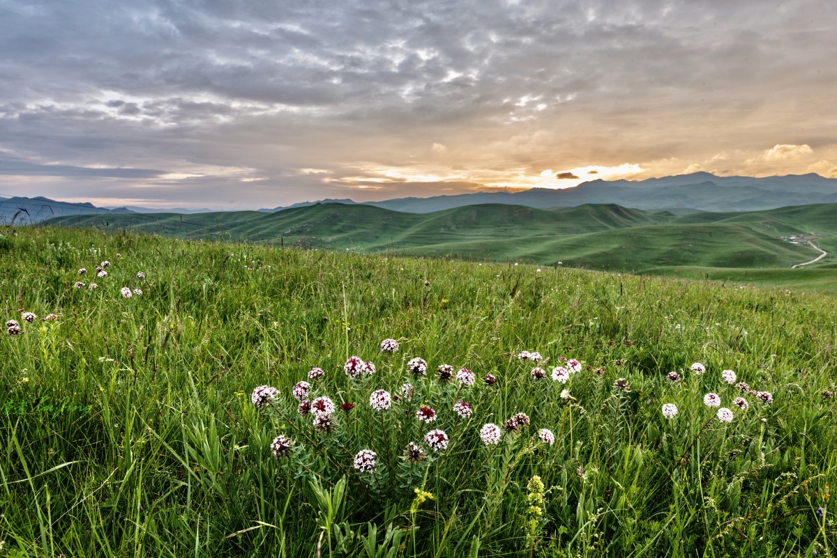 守望草原日出摄于甘南桑科草原
