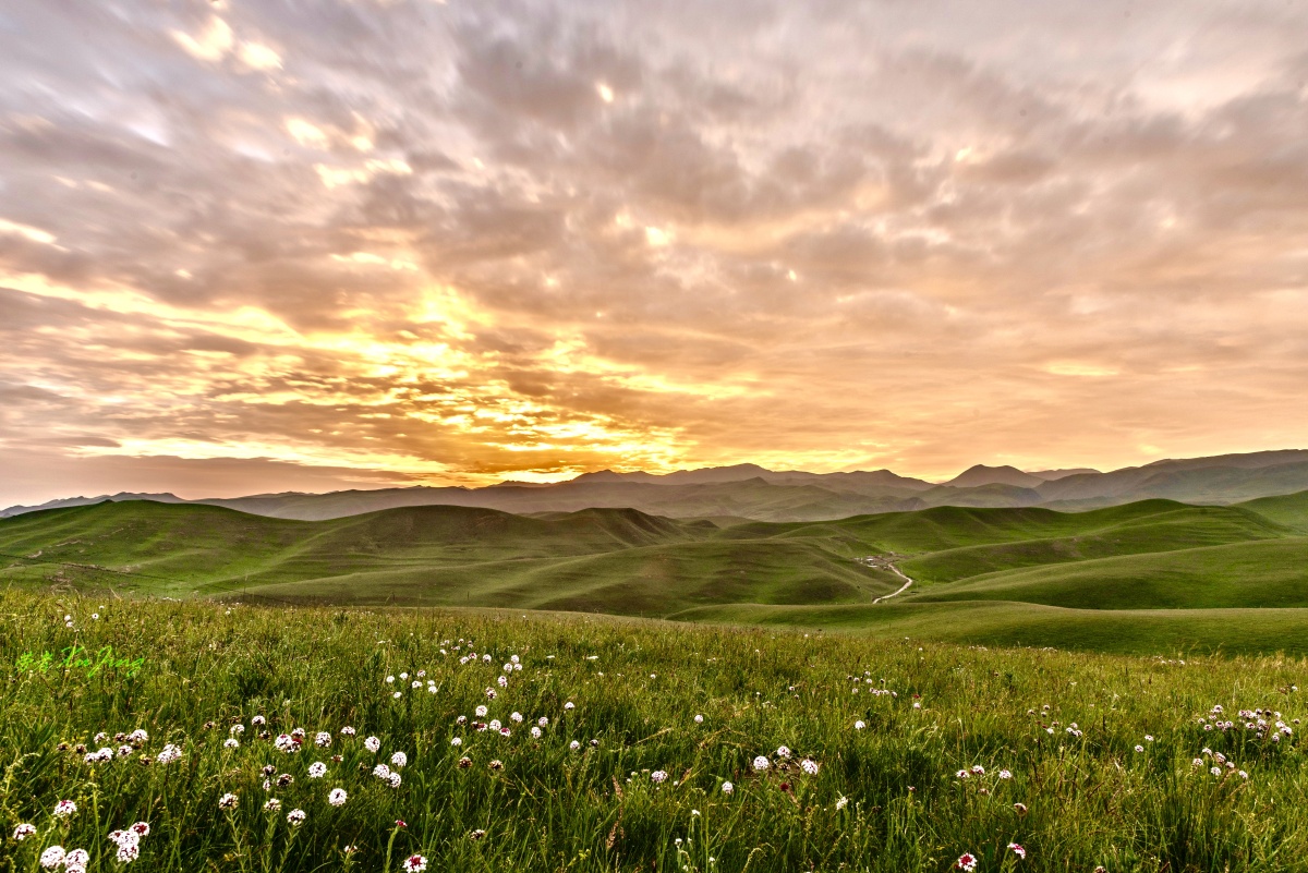 守望草原日出摄于甘南桑科草原