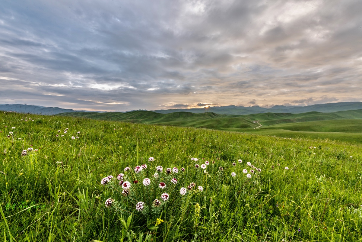 守望草原日出摄于甘南桑科草原