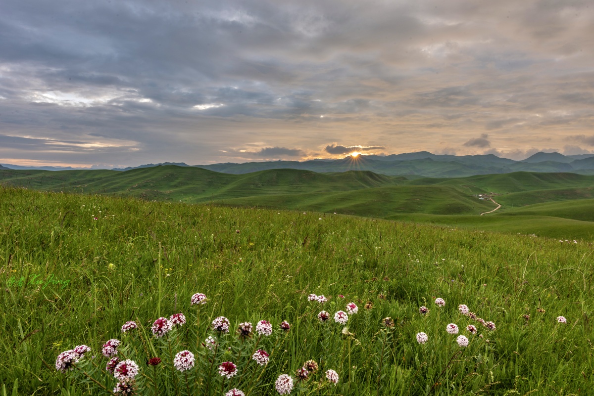 守望草原日出摄于甘南桑科草原