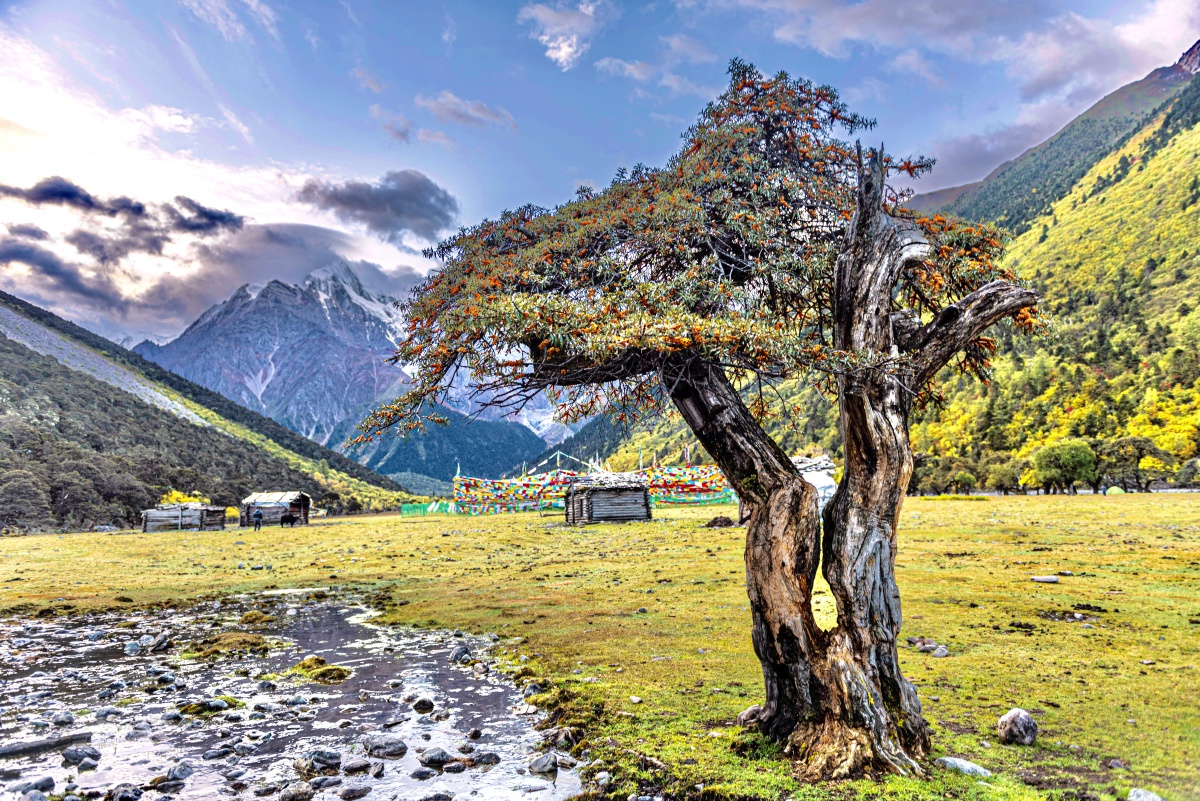 梅里雪山西坡的世外桃源——甲应村 - 劳者 - 图虫
