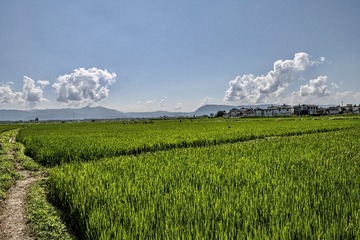 9D9C264E-836E-4737-8174-C7DE388A9999/L0/001