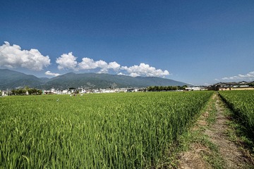 410F9A55-E6C4-41FC-8FA2-2534EF514C61/L0/001