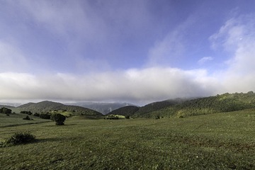 21205FF5-6F6F-4D11-BBBC-64EB42356A04/L0/001