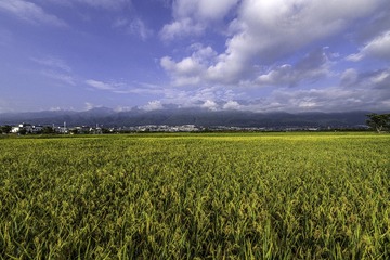 52EED30E-AA5D-4E02-A89A-F06354CC030D/L0/001