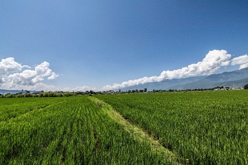 F21D29A8-78E0-4ED6-99C6-5AEFFD77275D/L0/001