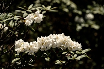 7162F868-FFCF-450E-AC6A-8835AD5139BF/L0/001