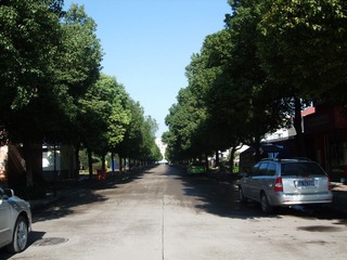 平凡无奇的路