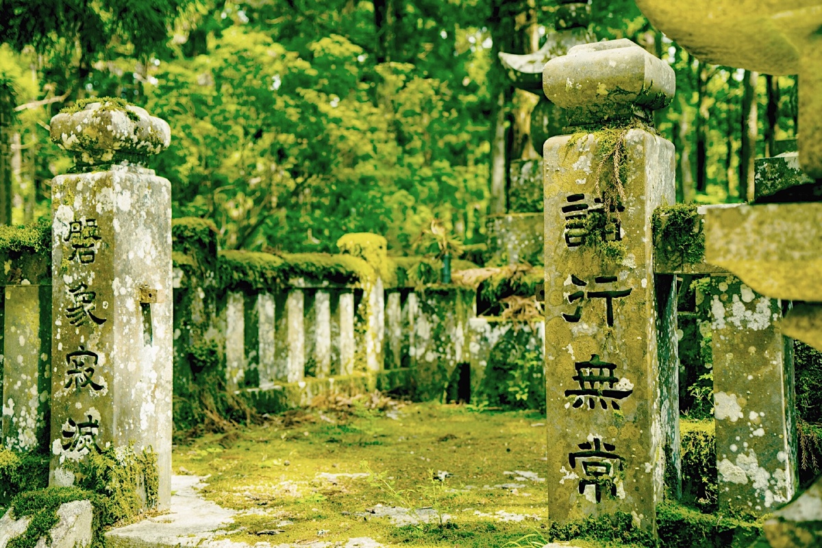 诸行无常 - 十二龚 - 图虫网 - 优质摄影师交流社区