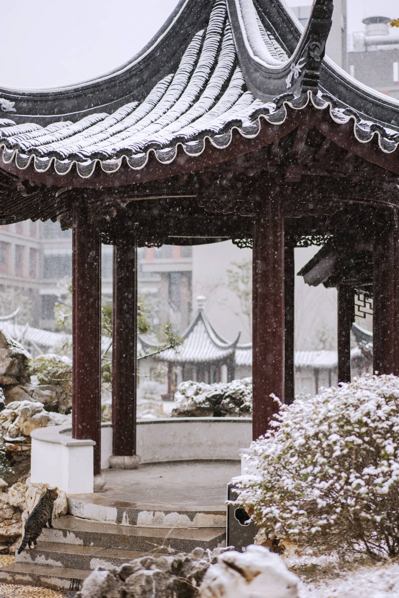雪中摄于南京大学香雪海