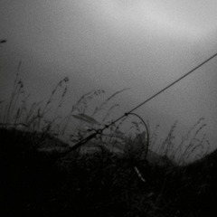 WP_20150126_017
