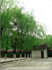 小景
