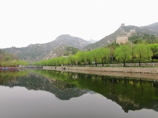 生命——新芽