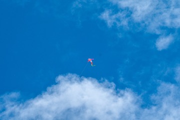 BDEBBA16-0D49-4153-850C-24ED2AA704CF/L0/001