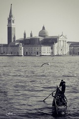 MC0A7335 (2).jpg