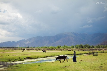 IMG_3063.jpg
