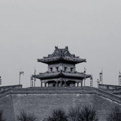 IMG_9918.jpg