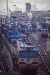 IMG_9926.jpg