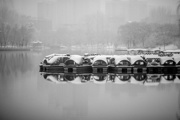 IMG_9964.jpg