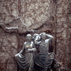 IMG_9970.jpg