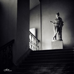 solitude