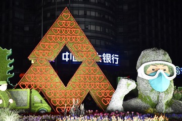 鸽子