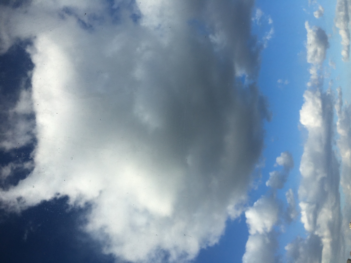 冬天的大云朵儿,潇洒飘逸…… 愿快乐在你心间,幸福随你一天!