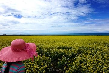 DSC01934_