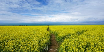 DSC01949_