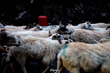 DSC02751_