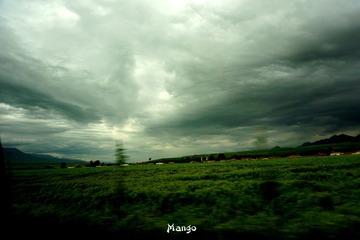 DSC02560_