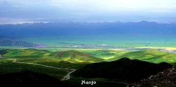 DSC02511_
