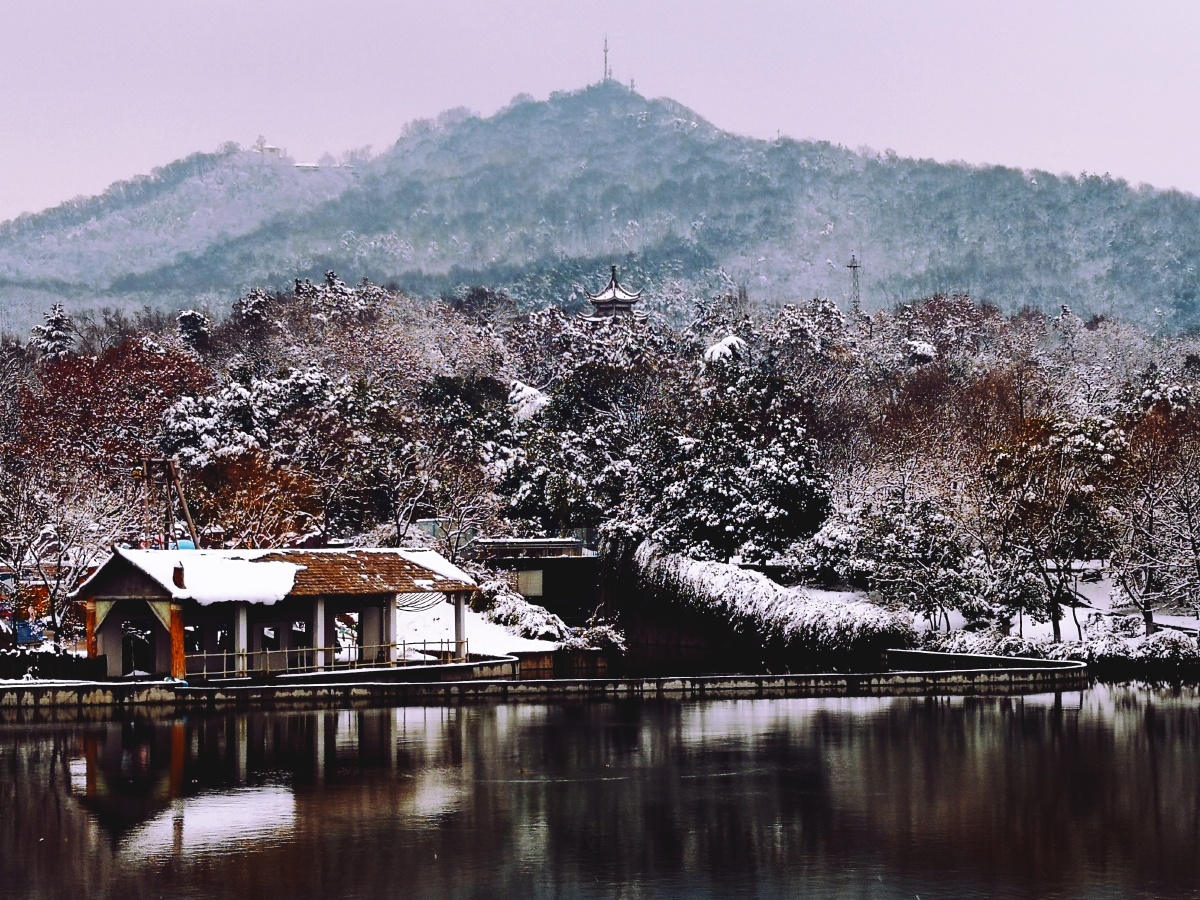 紫金山脚下的雪