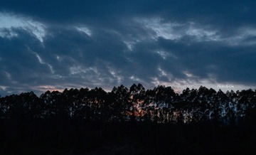 15032F1E-7E44-4E7B-9AFB-098968BE06C4/L0/001