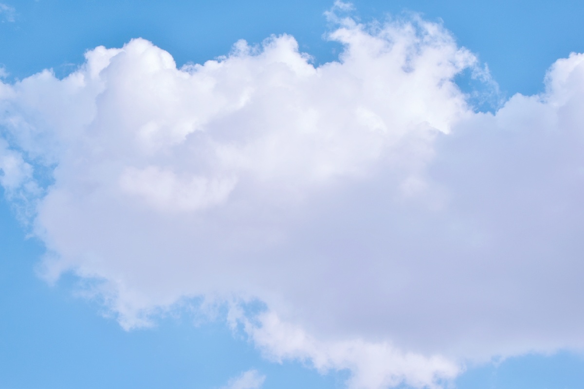 云天收夏色木叶动秋声离别行风中阳光好温柔