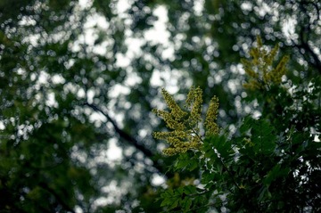 L1000123.jpg