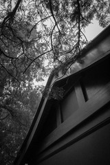 L1000191.jpg