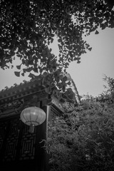 L1000211.jpg