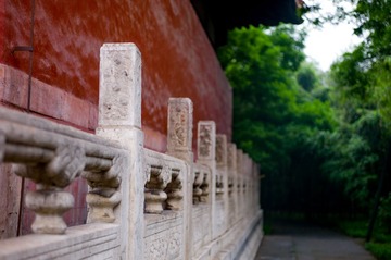 L1000240.jpg