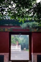 L1000250.jpg