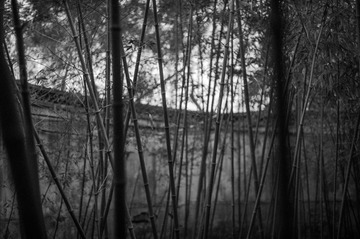 L1000283.jpg