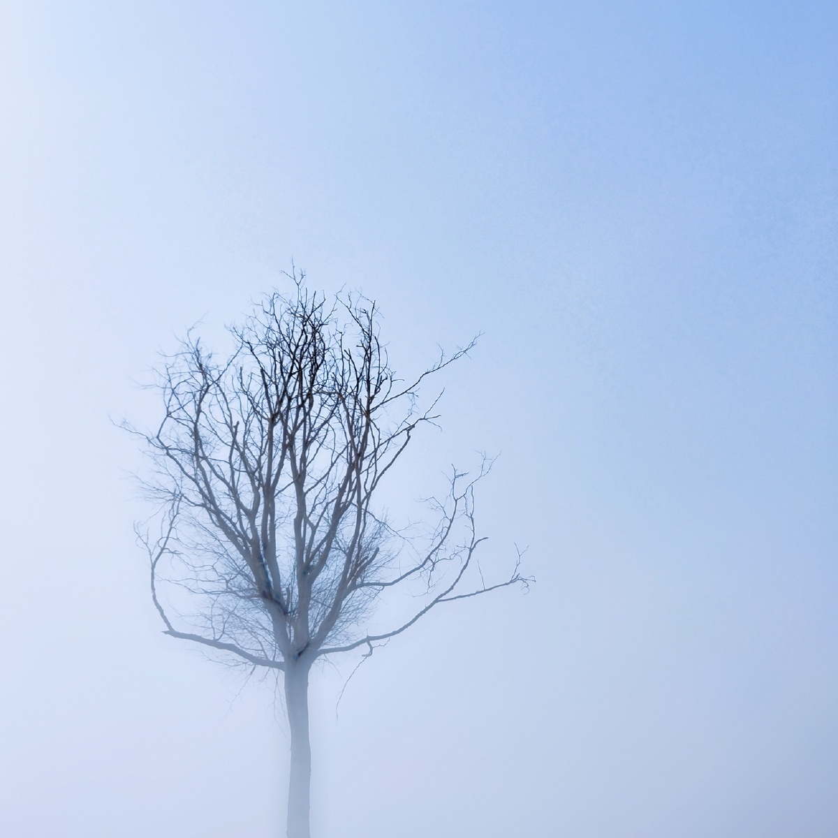 用手机拍的一些喜欢的照片