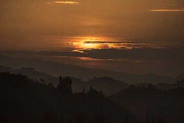 14056