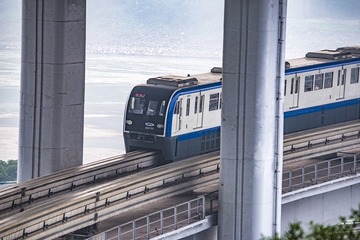 15911