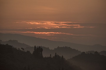 14047