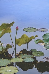 11973