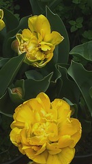 10054
