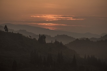 14046