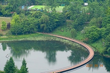 577619