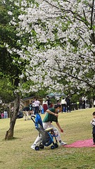 10006